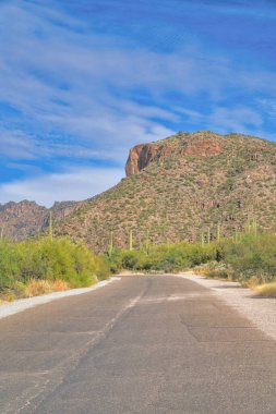 Concrete road with a mountain view at Sabino Canyon State Park in Tucson, Arizona. Empty road in the middle of desert wilderness with saguaro cactuses.