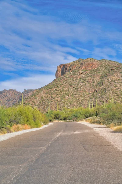 Concrete Road Mountain View Sabino Canyon State Park Tucson Arizona — Stockfoto