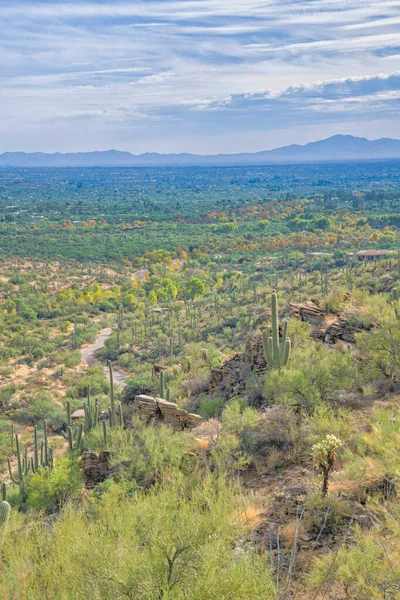 Overlooking View Desert Landscape Sabino Canyon State Park Tucson Arizona — Stockfoto