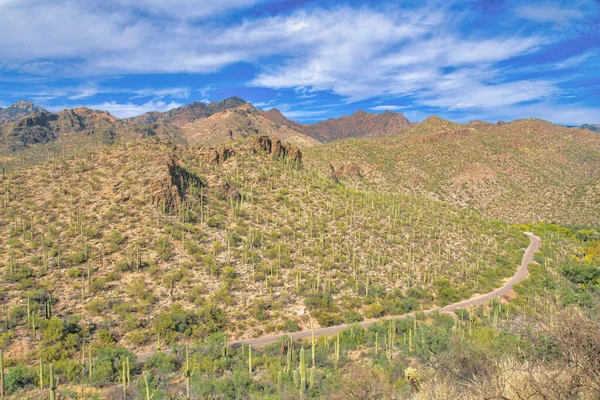 Overlooking view of mountain ranges with a road on the slope at Sabino Canyon State Park- Tucson, AZ. High angle view of a desert mountain with saguaro cactuses and green wild plants on the slope.