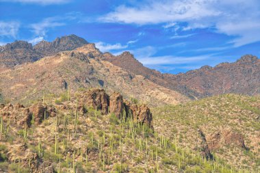 Sabino Canyon State Park in Tucson, Arizona- view of mountain ranges with saguaro cactuses. Mountains with desert plants against the sky.