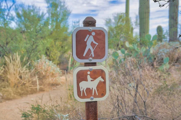 Hiking and horse riding trail signs at Tucson, Arizona. Close-up of multi-use trail signages against the view of a dirt trail and wild bunny ear and saguaro cactuses.