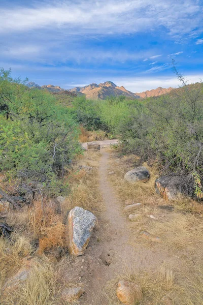 Sandy Hiking Trail Large Rocks Side View Mountain Sky Tucson — Stockfoto