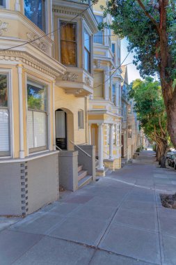 Row of houses near the concrete side walk along the columnar trees at San Francisco, CA. There are complex houses on the left with victorian style trims exterior and stairs at the front.