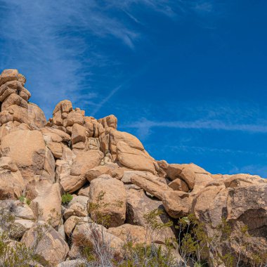 Square Low angle view of a rocky mountain against the clear blue sky in a national park in California. There are trees below the mountain with a different rock formations.