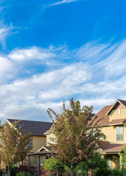 Vertical Whispy White Clouds Panoramic Residential Houses Trees Front Daybreak — Fotografia de Stock