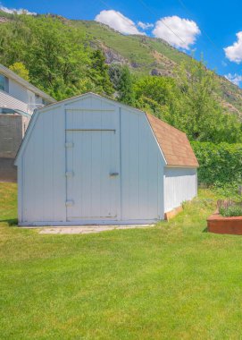 Vertical White puffy clouds Small white barn shed on the yard with lavender on the raised bed gardens. Shed on a backyard with trees against the view of a mountains and neighborhood.