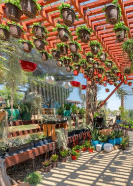 Vertical Walkway with potted plants on racks under the red pergola roof with hanging succulent plants. There are potted spanish moss plants along with the other varieties of plants on a pots