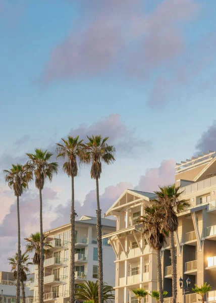 Vertical Puffy clouds at sunset Modern traditional low rise white apartment buildings at Oceanside, California. There are palm trees at the front of residential building exterior with balconies