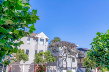 Large house buildings with attached garages against the clear sky at San Francisco, California. There are plants and colorful trees at the front of the driveway with two garage doors each.