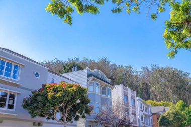 Row of houses surrounded by trees in San Francisco, CA. Facade of houses with painted pastel color exterior in a side view against the clear sky background.