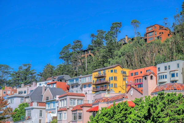 Houses on a hill against trees and blue sky in San Francisco California. Residential homes on a hilly landscape with scenic nature views on a bright sunny day.