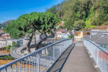 San Francisco California 'daki evlere bakan virajlı patika kaldırımı. Yükseltilmiş yürüyüş yolu bir yolun üzerinden geçer ve güneşli bir günde mavi gökyüzü arka planına sahip bir ağacın etrafında döner..