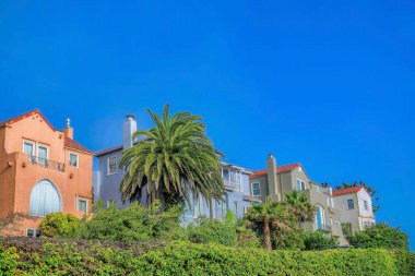 San Francisco Califronia 'da bir yerleşim yeri. Rengarenk evler, Huzurlu bir mahallede canlı yeşillikler ve mavi gökyüzü manzaralı evler..