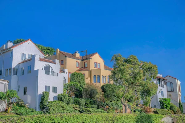 San Francisco California neighborhood with houses against clear blue sky. Scenic neighborhood landscape on a sunny day with homes and lush green foliage.