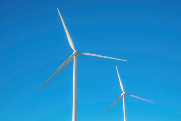 Windmills alternative energy source against clear blue sky background. The towering white windpumps have three blades that produces renewable energy using wind.