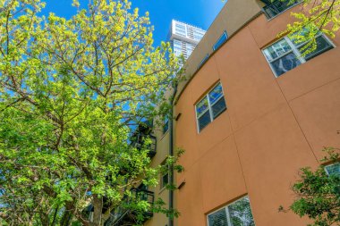 Ağaçlara ve mavi gökyüzüne karşı renkli duvarı olan bir binanın dış görünüşü. Austin Texas şehir merkezindeki açık hava manzarası, güneşli bir günde modern daireler veya ticari ofisler ön cepheleriyle..