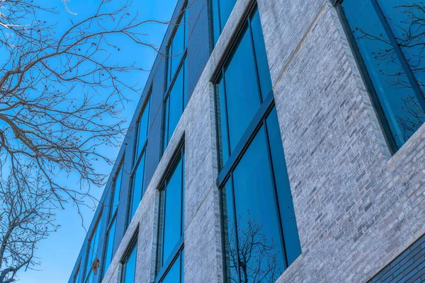 벽돌로 현대식 건물을 올려다보고 텍사스 오스틴 시내에 아파트의 과맑은 날푸른 — 스톡 사진