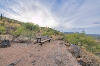 Tucson, Arizona 'da manzaralı bir yamaçta ahşap uzun bir bank. Bir yamacın kenarında çalılar ve saguaro kaktüsüyle gökyüzüne bakan dağlar..