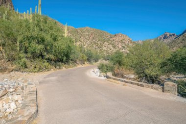 Sabino Canyon State Park, Tucson, Arizona 'da çöl yamaçlarının yanında saguaro kaktüsü olan beton yol. Yol boyunca çöl dağı yamaçları ile mavi gökyüzü arka planı karşı.