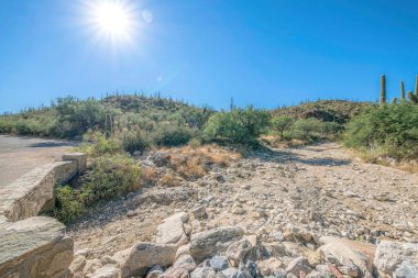 Sabino Canyon State Parkı 'nda, Arizona' da, kuru dere kenarında. Sabino deresi dağın yamaçlarına yakın güneş ve mavi gökyüzünün altında saguaro kaktüsüyle.