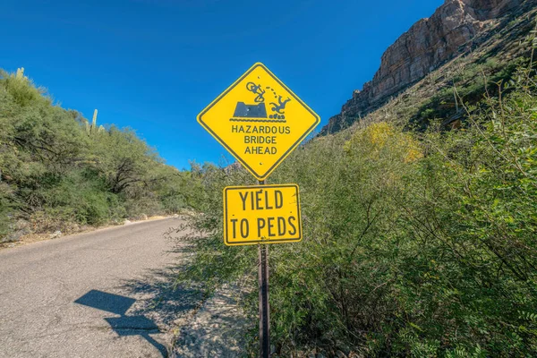 Road sign warning about hazardous bridge ahead at Sabino Canyon State Park. Yellow warning beside the road in between two desert mountains with saguaro cactuses.