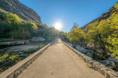 Güneş, Sabino Canyon Eyalet Parkı 'ndaki derenin üzerindeki beton köprünün üzerinde, Tucson, AZ. Çölün ortasında kayalar ve ağaçlarla dolu bir dere..