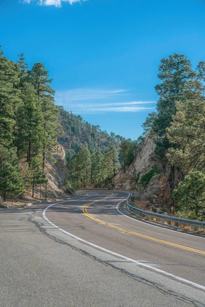 Mont Lemmon Arizona Route Courbe Entre Pente Rocheuse Grands Arbres — Photo