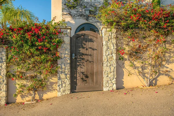 La Jolla, California- Wooden gate in between stone pillars and concrete walls with bougainvillea. Fenced house with arched wooden gate against the building with creeping vines at the wall.