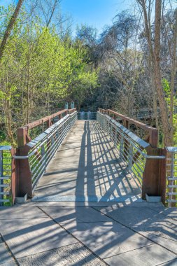 Austin, Teksas... Vahşi bitki ve ağaçların üzerinde sahil yolu. Bisiklet yolu ve yaya yolu, arkasında tırabzanlar ve iki tane çöp kutusu var..