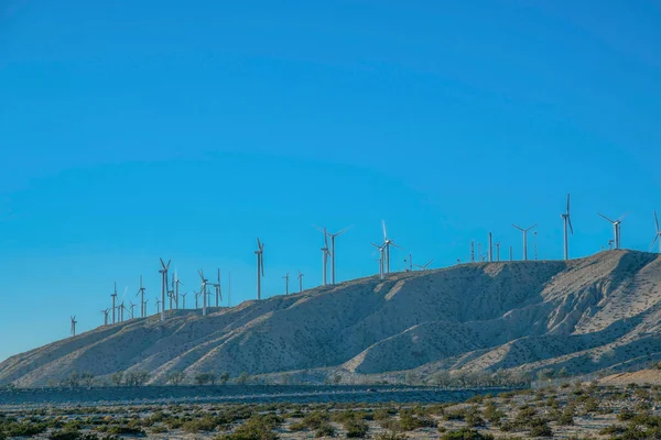 Windmills on top of a mountain in a desert at California. View of wind turbines from desert land with wild plants and a view of a clear blue sky.