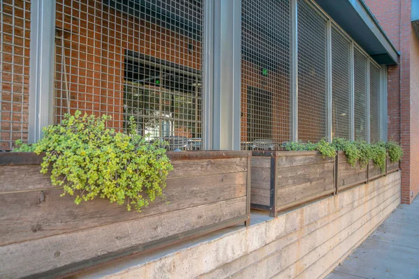 Wooden planters outside a restaurant building at Phoenix, Arizona. There are planters on a metal grid walls above the concrete wall.