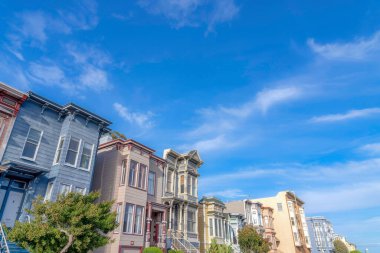San Francisco, California 'daki ahşap duvarlı evlerin alçak açılı görüntüsü. Ön kapılarını ve ağaçlarını görebileceğimiz bir dış mekan..