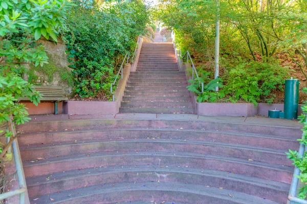 位于加州旧金山一个自然公园中央的永久性楼梯 室外楼梯 前面有弯曲的台阶 后面有植物和树木 — 图库照片