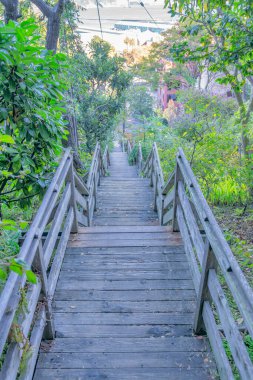 San Francisco, California 'da bir yamaçta tahta merdiven. Düz merdivenleri daraltın ve ağaçların yanındaki ahşap tırabzanlar ve yan taraftaki bitkiler.
