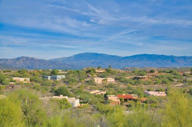 Tucson, Arizona 'da dağ sırasına ve gökyüzüne karşı bir sürü ağacı olan bir mahalle. Yüksek açılı çok az sayıda orta sınıf ev vardır..