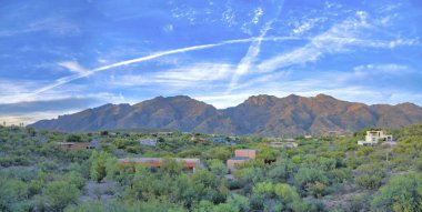 Tucson, Arizona 'da gökyüzüne karşı büyük evleri ve bulutları olan fundalıklar. Evlerin dışında eğimli dağ evlerinde yeşil bitkiler ve kaktüsler var..