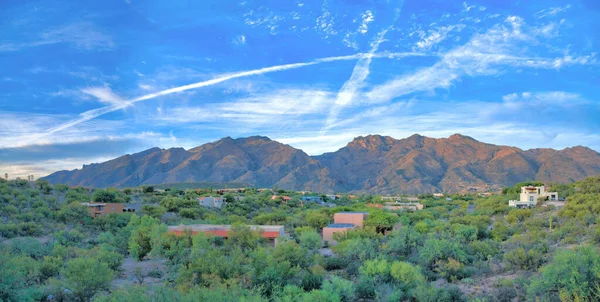 Shrubland with large houses near the mountains against the sky with clouds in Tucson, Arizona. There are green plants and cactuses outside the houses on a sloped mountainside residences.