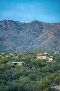 Tucson, Arizona 'daki dağlık bir yerleşim bölgesinde yeşil yabani bitkiler ve kaktüsler. Önde iki katlı evler, arkada da gökyüzüne karşı dağlar var..