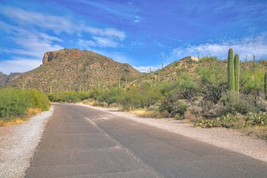 Tucson, Arizona 'daki Sabino Canyon Eyalet Parkı' nda beton yol. Saguaro kaktüslü dağların manzaralı yolu ve mavi gökyüzü arkaplanına karşı yamaçta çalılar.