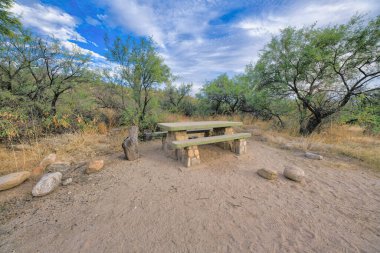 Tucson, Arizona 'da kumlu bir zeminde büyük taşlarla piknik masası. Çimlere yakın oturaklı beton masa. Ağaçlar ve gökyüzüne karşı saguaro kaktüsü..