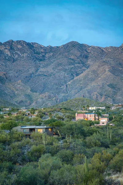 Tucson, Arizona 'daki dağlık bir yerleşim bölgesinde yeşil yabani bitkiler ve kaktüsler. Önde iki katlı evler, arkada da gökyüzüne karşı dağlar var..