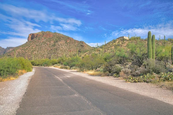 Tucson, Arizona 'daki Sabino Canyon Eyalet Parkı' nda beton yol. Saguaro kaktüslü dağların manzaralı yolu ve mavi gökyüzü arkaplanına karşı yamaçta çalılar.