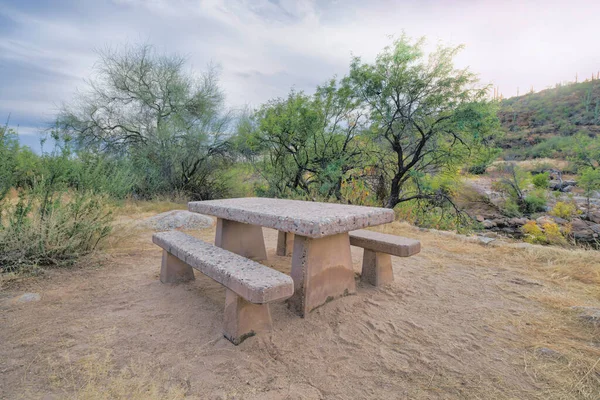 Concrete table and chairs on a campground at Sabino Canyon State Park in Tucson, Arizona. Picnic table near the trees and slope with cactuses against the white sky at the back.