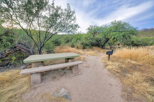 Concrete picnic tables with in ground grill near the trees at Sabino Canyon State Park, Tucson, AZ. Desert landscape near the campground.