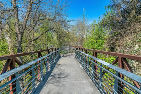 Austin Texas Boardwalk Railings Forest Concrete Pathway Wild Plants Slope — Stock Photo, Image