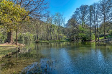 Güneşli bir günde, Austin Texas 'taki Bull Creek' in güzel manzarası. Sakin ve nazikçe dalgalanan bir suyla ağaçlarla ve mavi gökyüzüyle doğa manzarası..
