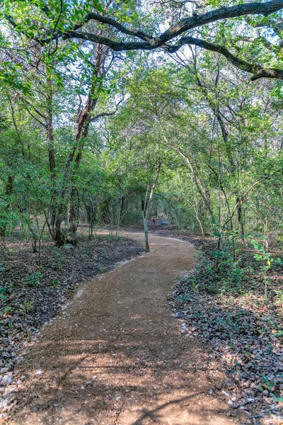 Schmale Kurvenreiche Wanderstraße Entlang Von Bäumen Bull Creek Austin Texas — Stockfoto