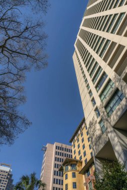 San Antonio, Teksas 'taki River Walk' un aşağısındaki yükselen binaların görüntüsü. Mavi gökyüzüne karşı ağaçlı binaların alçak açılı görüntüsü.