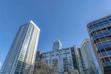 Austin, Teksas. Modern konut binalarının alçak açılı görüntüsü. Binaların önünde modern dış tasarıma sahip ağaçlar var..